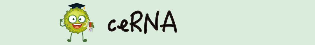 065dd35e1f3cf8384588685e75856a98.png