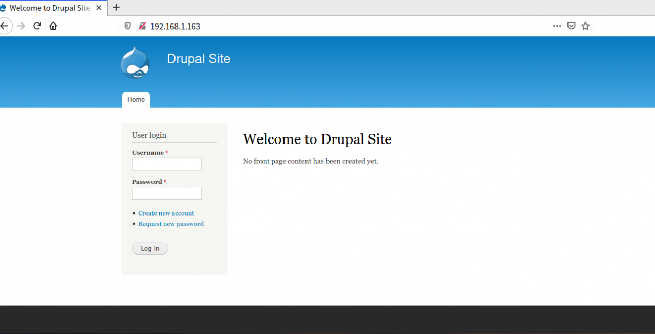 image-20210124001251795