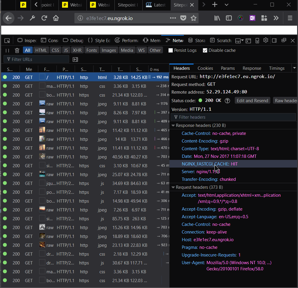 Nginx cache headers