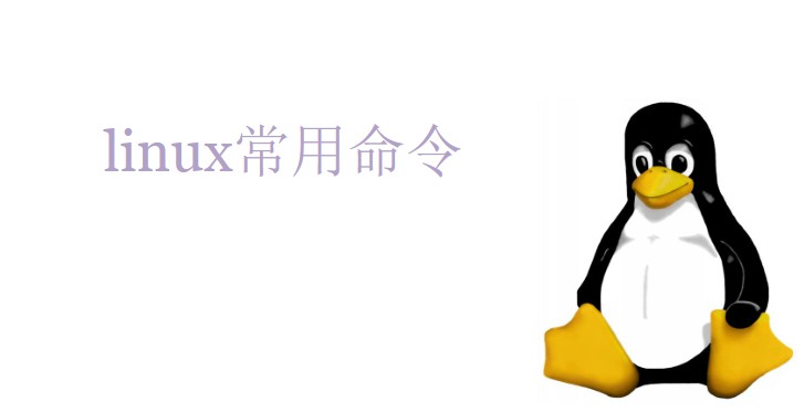 1675881-20190529204519292-1024431352.jpg