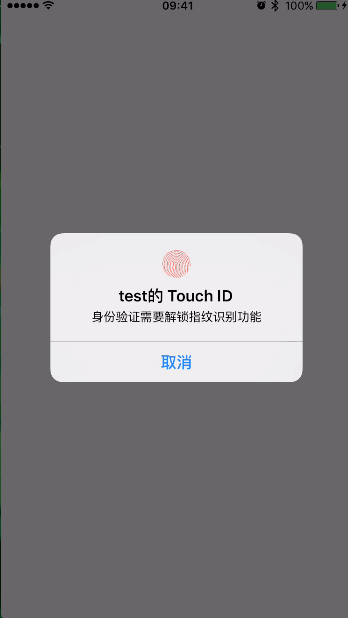 Touch ID效果.gif