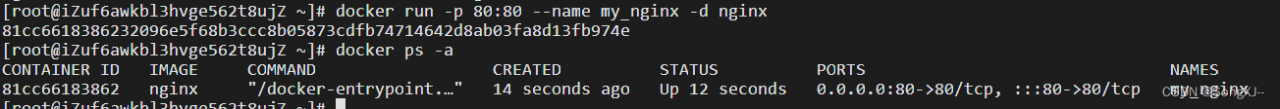 启动nginx镜像