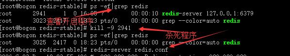 使用ps -ef|grep redis查询编号；在使用kill -9 编号；在重启redis-server redis.conf