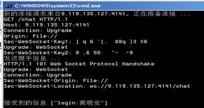 图 4. 有客户端连接到 WebSocket 服务器的