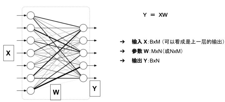 模型的输入输出和参数