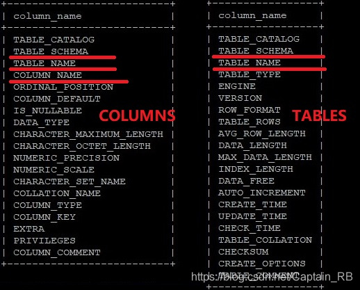 COLUMNS&TABLES