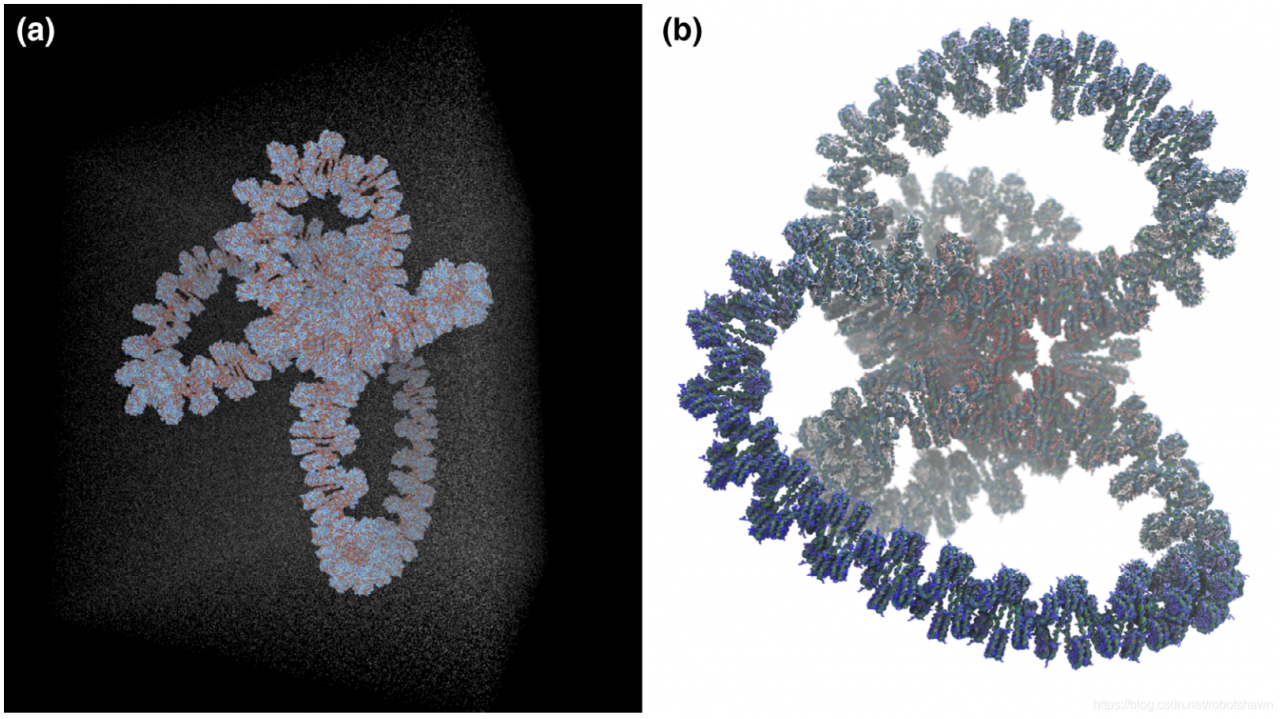 在明确溶剂中的GATA4基因位点的模拟。a）在一个周期性的模拟cube中全部溶解了的GATA4结构，由双链螺旋DNA的83千个碱基包裹着427个核小体组成；b）基因结构的一个更详细的视图。用来编程基因表达的蛋白质tails从每一个核小体突出出来。在a）和b）中，为了图片清晰，水分子并没有表现出来