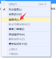 选择项