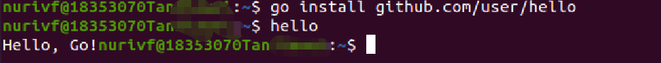 hello.go