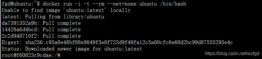 --net=none 模式启动镜像
