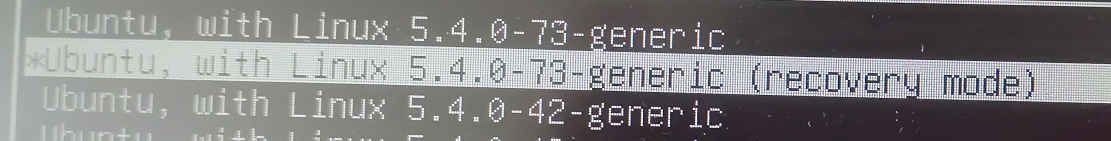 选择recovery mode模式