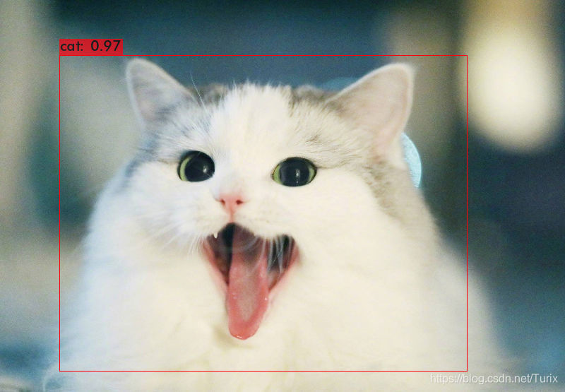 YOLO-Fastest1.0-XL预测结果