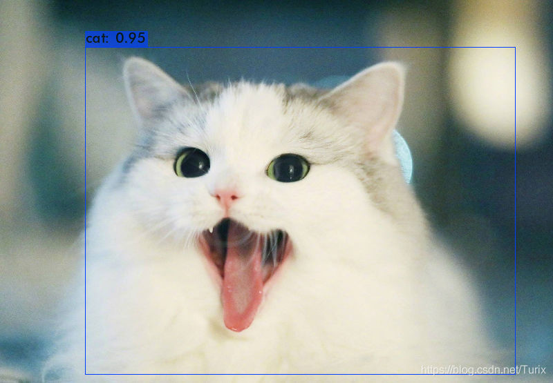 predictions_YOLO-Fastest1.0-XL-VOC