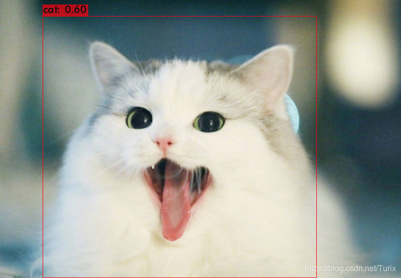 YOLO-Fastest1.0预测结果