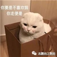 20b90ca3e3d1e670fe8797b2f4c6ebb6.png