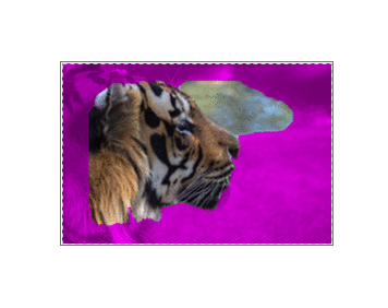 Keep Region gif