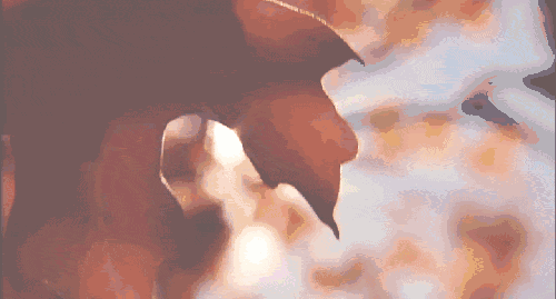 2af6190564878c7005b1887f55713954.gif