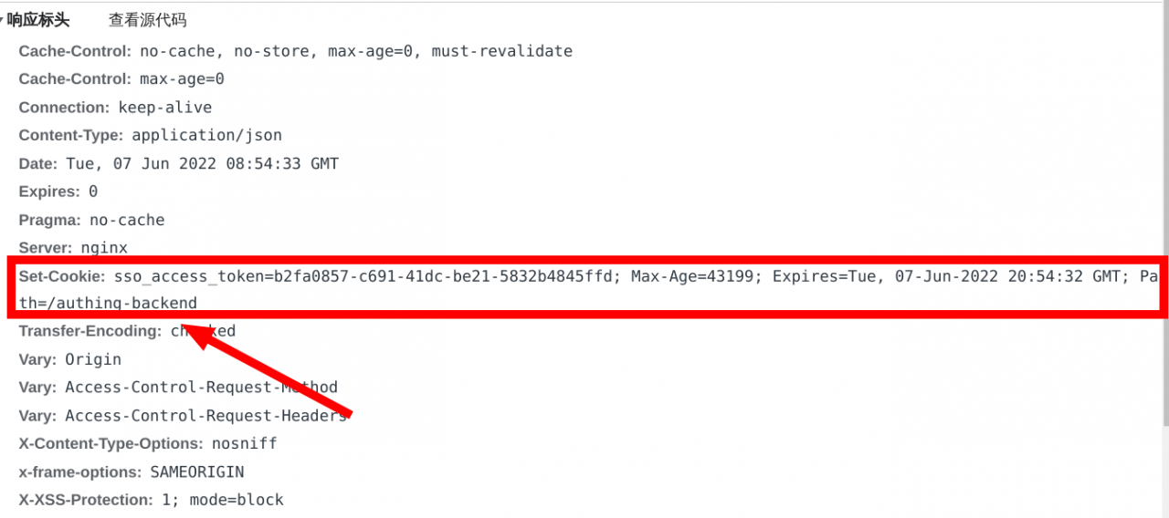 Nginx proxy cookie path 