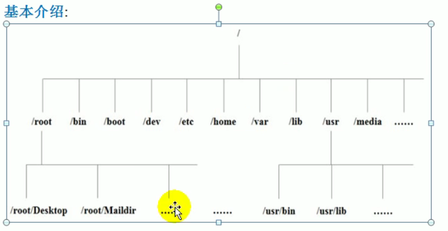 image-20220101105611753