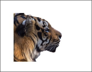 Background free image