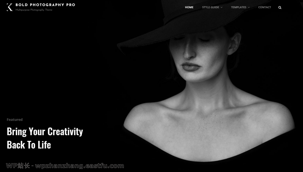 大胆的摄影作品集主题