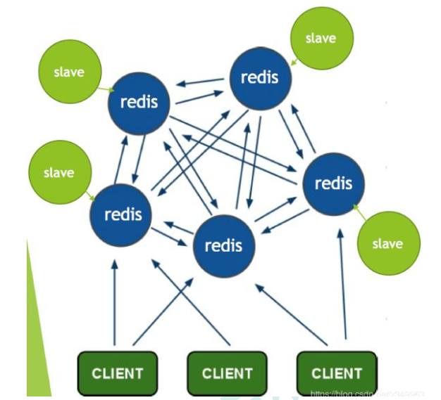 image-20220208105551709