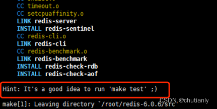 redis make 编译成功