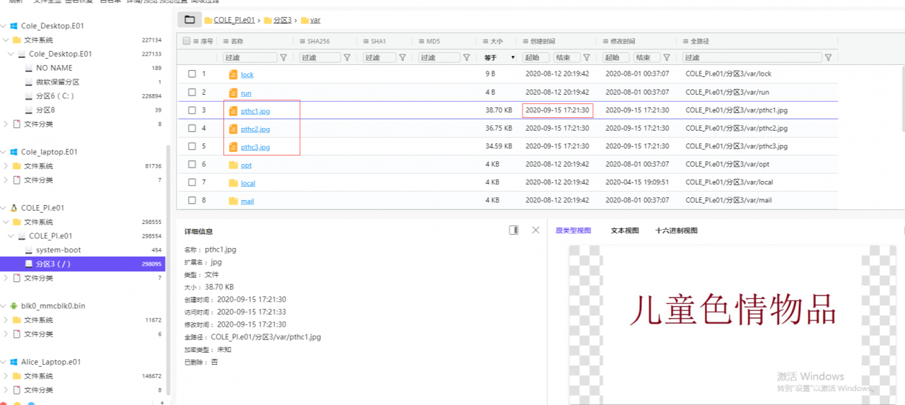 110_cole_PI_色情物品