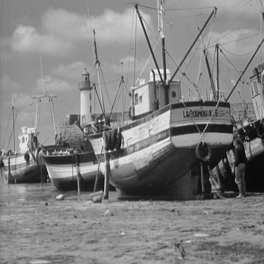 本教程的示例样本船