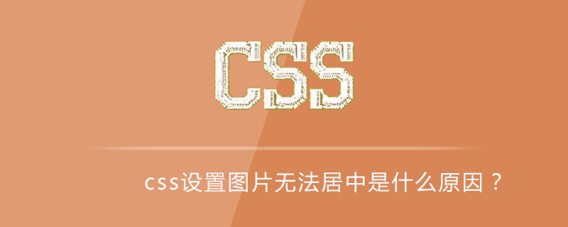 564173a74ad3c3981b6decfde7bb4e2a.png