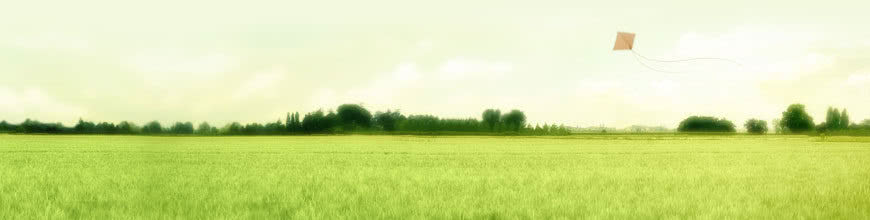 64141_dec5.jpg