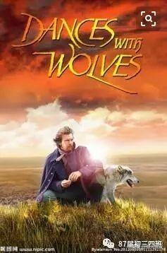 一生最值得看的50部电影，您看过几部