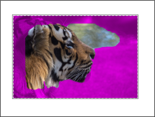 Auto-detect remove background image