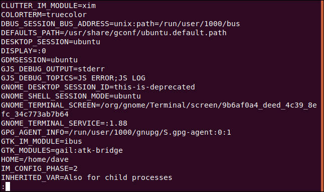 sorted list of environment variables in less in a terminal window.