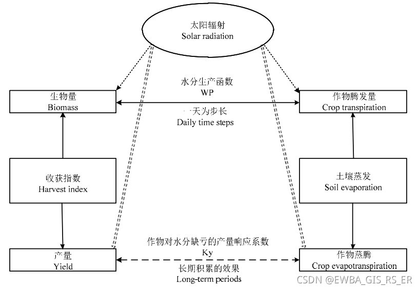 AquaCrop作物模型生产力方程的演变