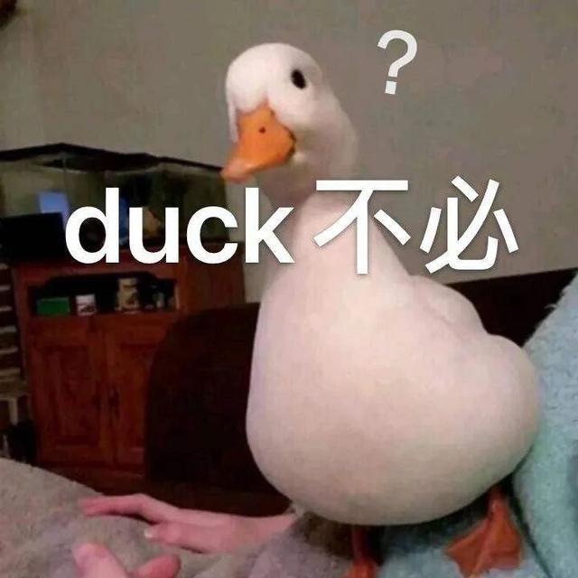6e7059d5b3f8a7701cbf9c5df2c2f2ea.png