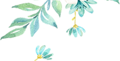 71061e655d45774cfddae419f5d3bac1.png
