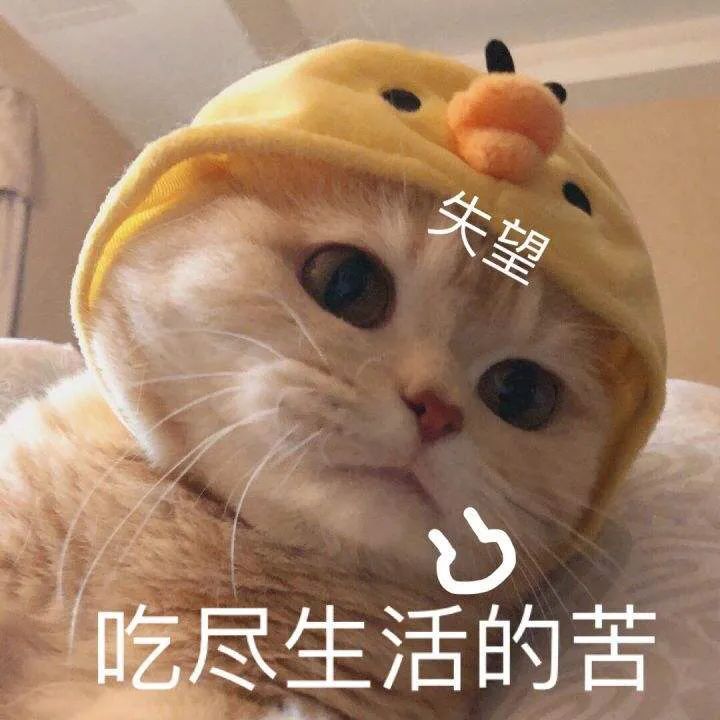 7231765d27a819efbd9a1e3e67cc1763.png