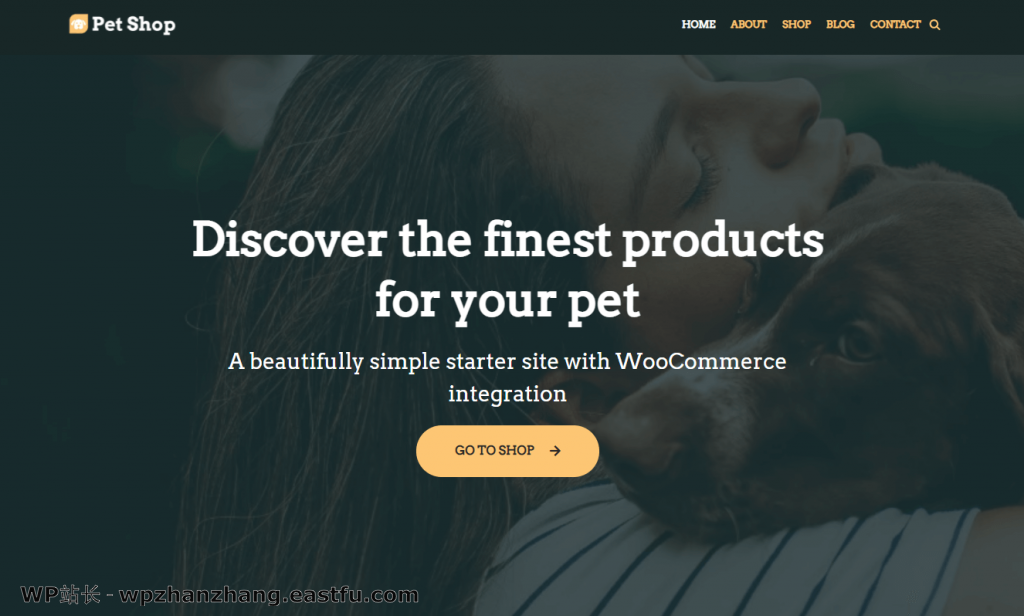 Neve 多用途主题