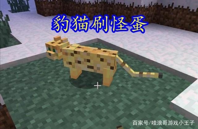 78a74bf064cdaf89c3f5511484630114.png