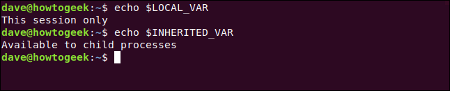 echo $LOCAL_VAR in a terminal window.