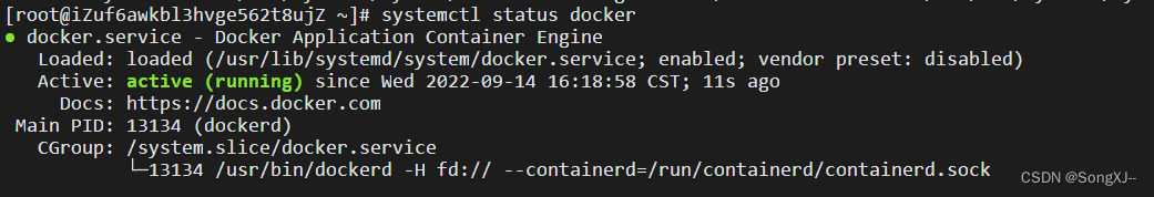查看Docker运行状态