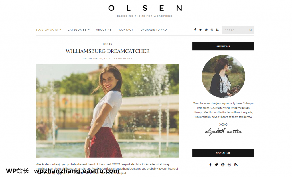 奥尔森演示站点