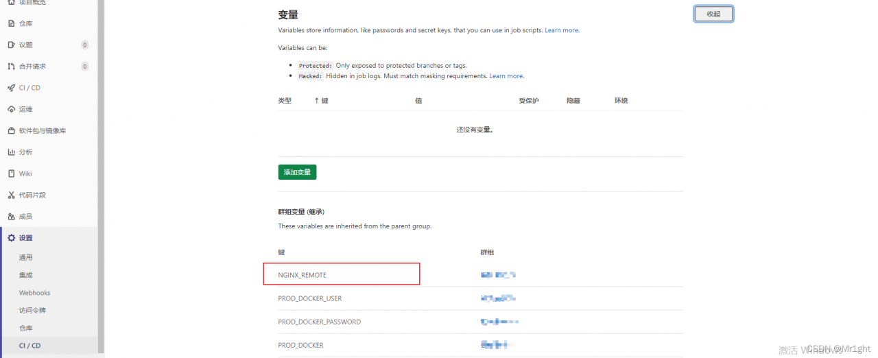 GitLab环境变量中配置了这个变量