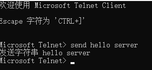 image-20210409173726957