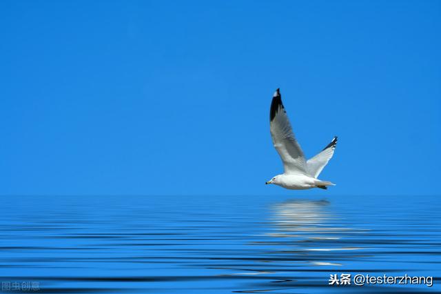 8adf35d140587f515e30b69c6cdb9f90.png
