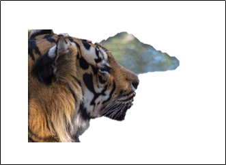 Image with background mostly removed