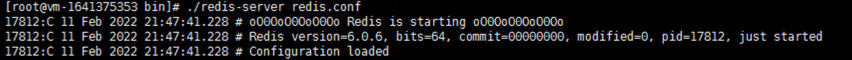 redis 后台启动成功