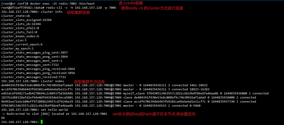 image-20220214105108219