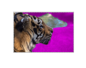 Mark areas to remove gif